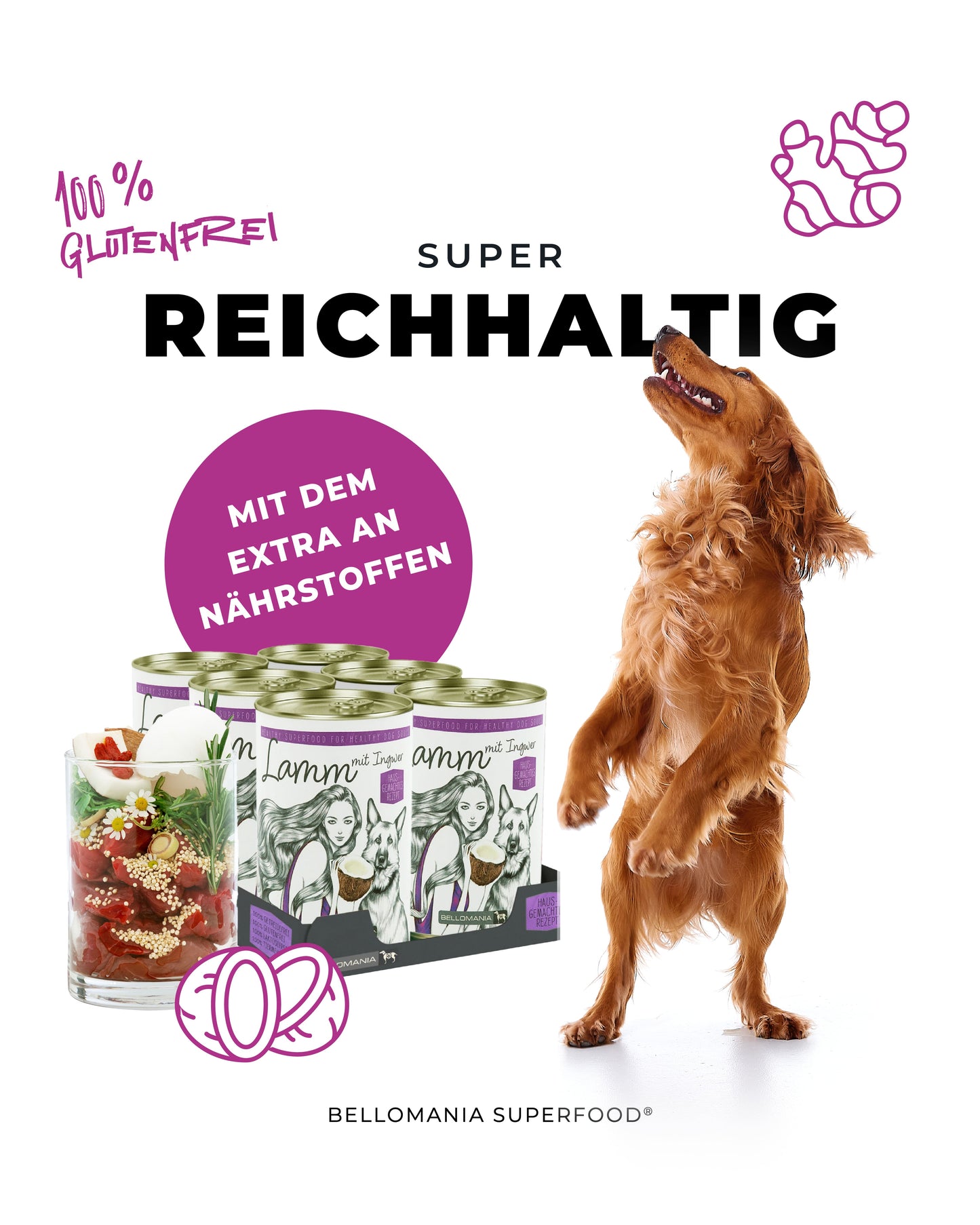 Exklusiv Bundle Atrium Classic Platinum Hundenapf