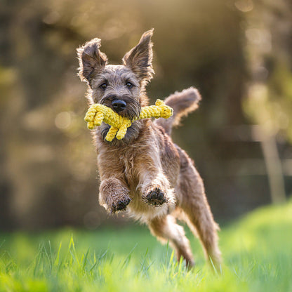 GRETA GIRAFFE