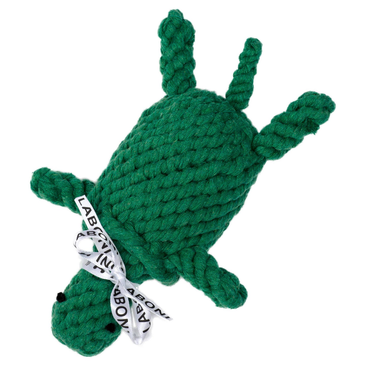 TINA TURTLE