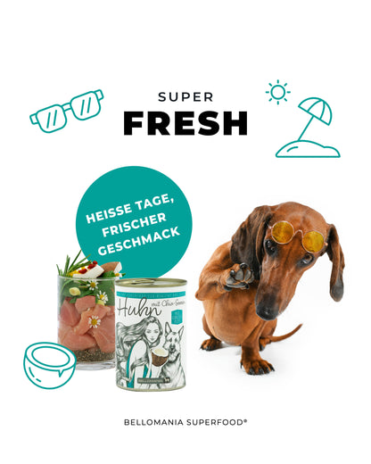 Exklusiv Bundle Atrium Transparent Cloud Hundenapf