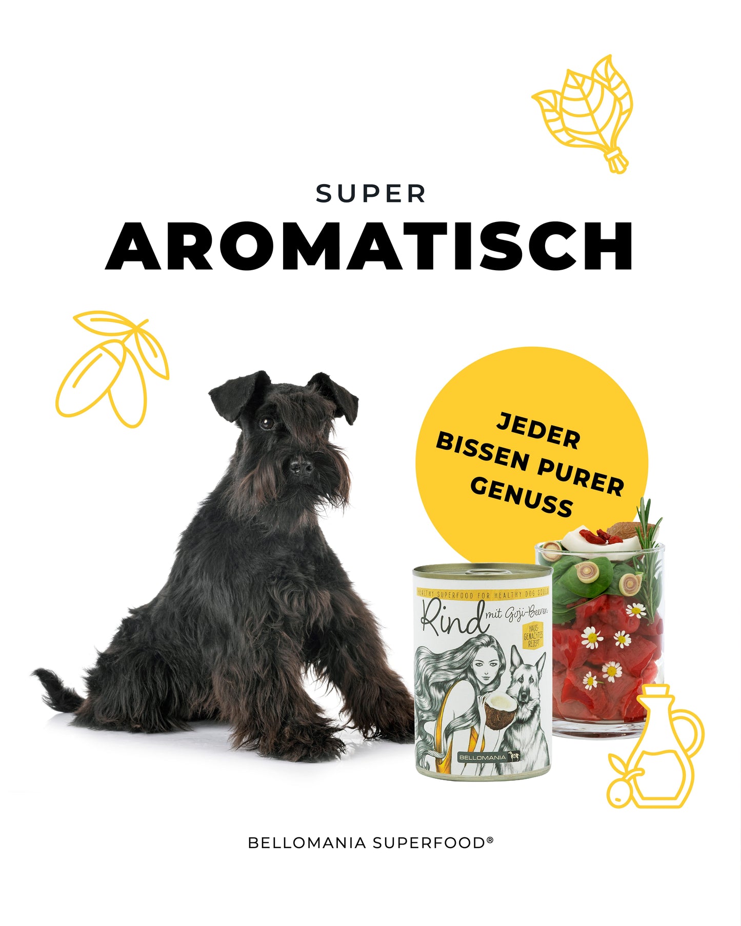 Exklusiv Bundle Atrium Transparent Cloud Hundenapf