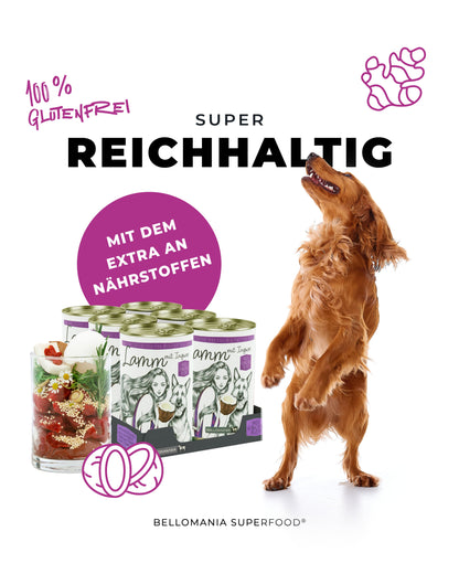 Exklusiv Bundle Atrium Transparent Cloud Hundenapf