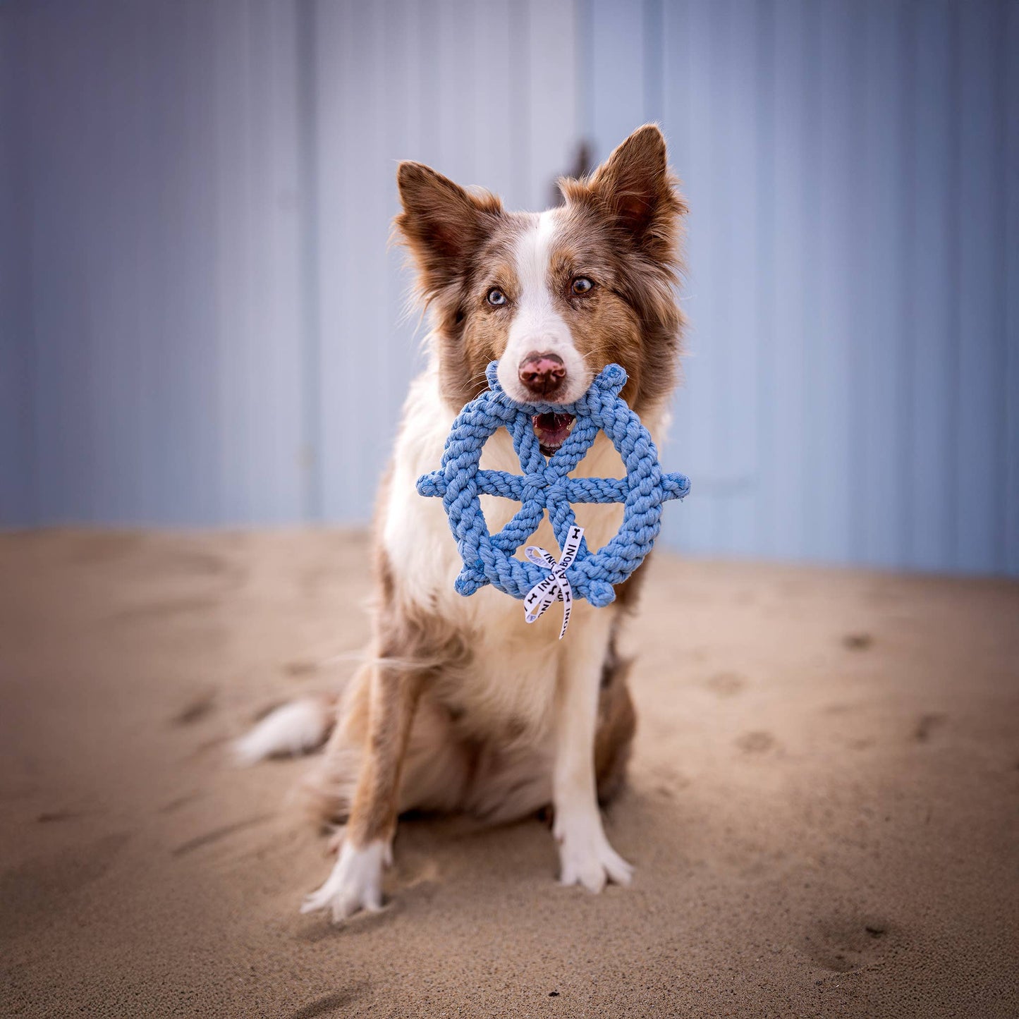 SKIPPER