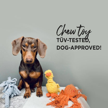 EMMA ENTE